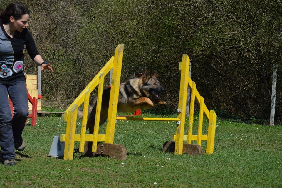 Cheyenne