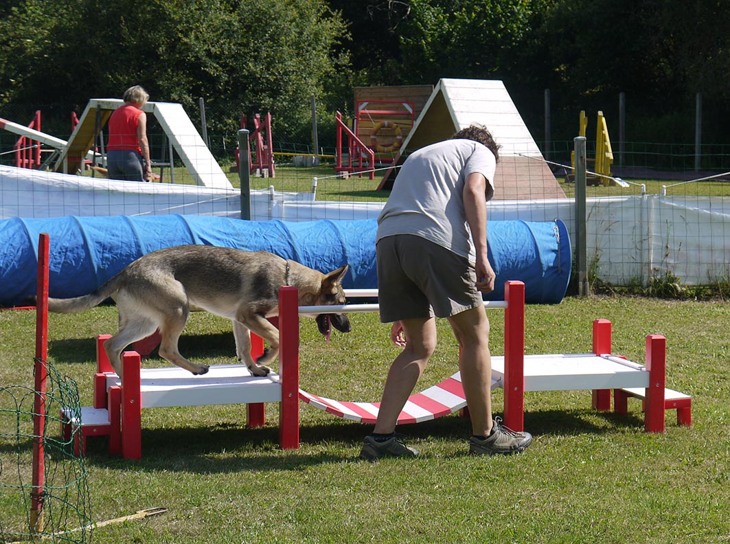 Ecole du chien - 20 juin 2015 - 17