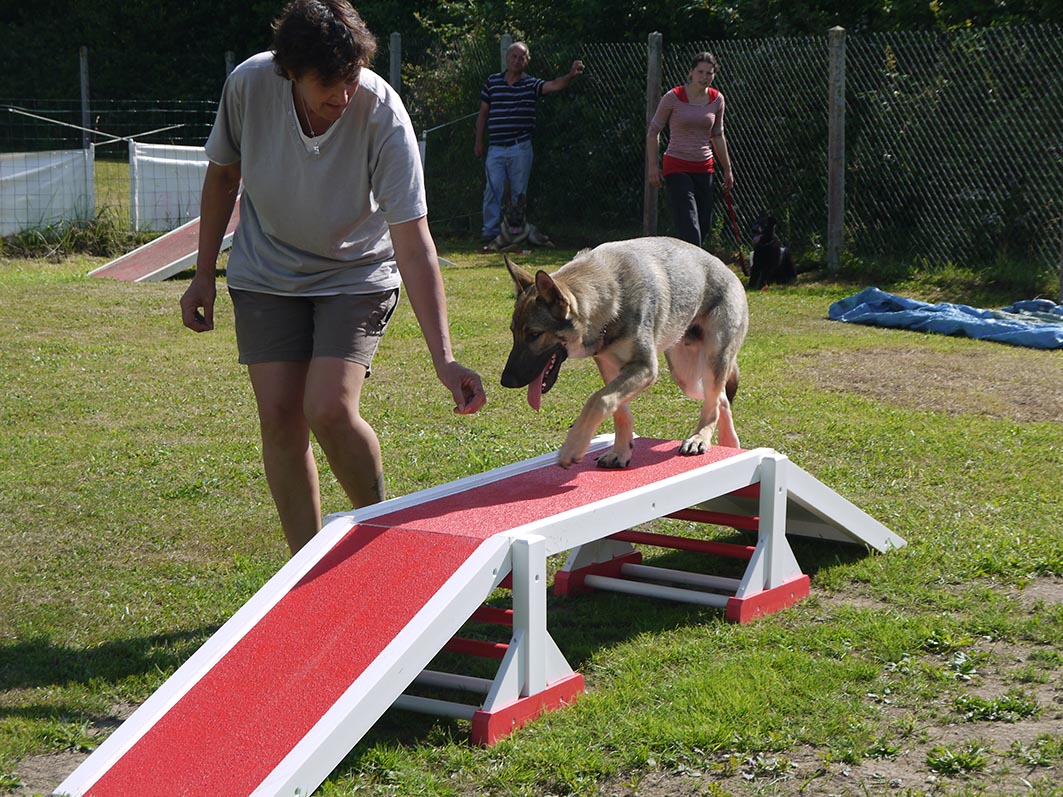 Ecole du chien - 20 juin 2015 - 18