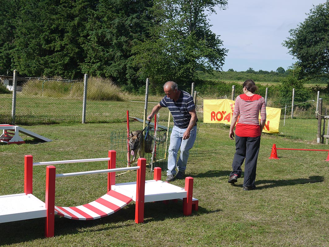 Ecole du chien - 20 juin 2015 - 21