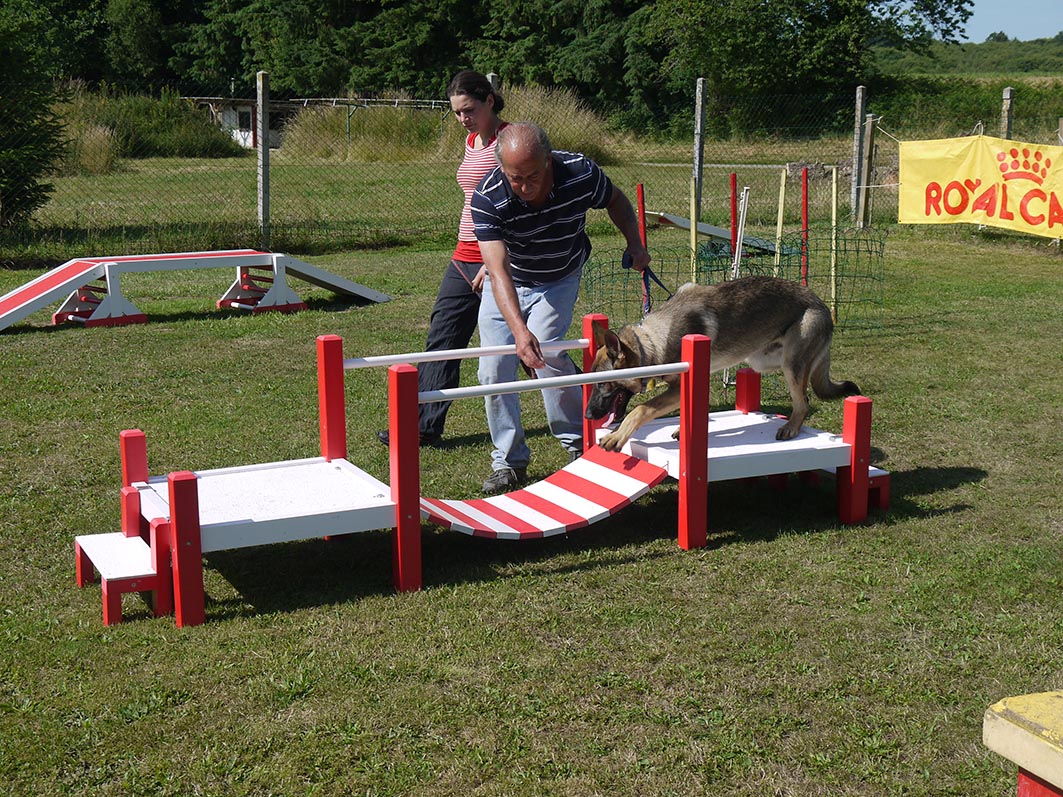 Ecole du chien - 20 juin 2015 - 22