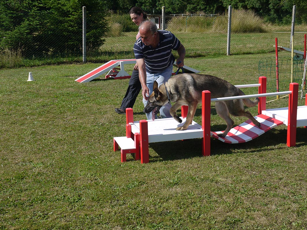 Ecole du chien - 20 juin 2015 - 23