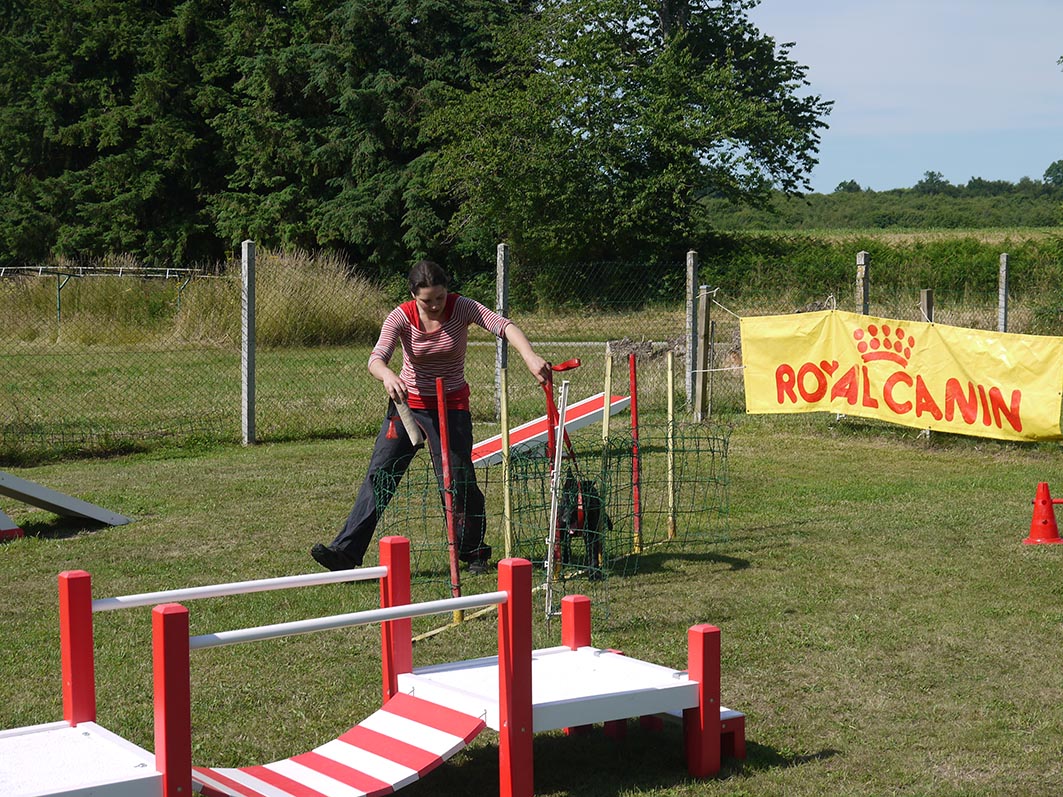 Ecole du chien - 20 juin 2015 - 25